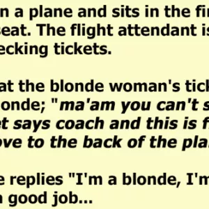 The Blonde Doesn’t Leave First Class Seat And The Pilot Has A Plan