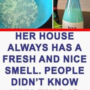 Friends Raved About How Amazing Her Home Smelled