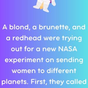 A blond, a brunette, and a redhead were trying out for a new NASA experiment on sending women to different planets.