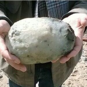 Were walking on the beach when they found something that others thought was a common stone.