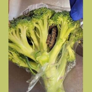 Man is Horrified to Find a Ladder Snake Inside a Bag of Broccoli He Purchased from an Aldi