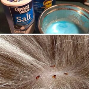 Eliminate Your Pet’s Fleas Using Dawn Dish Soap and Table Salt