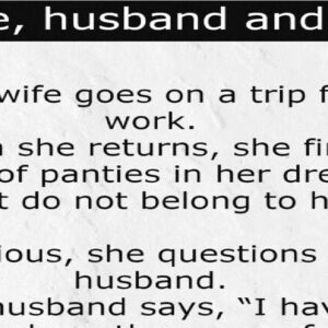 A wife, husband and maid funny story