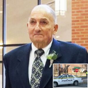 88-year-old crossing guard killed by speeding car after saving 2 children from being hit