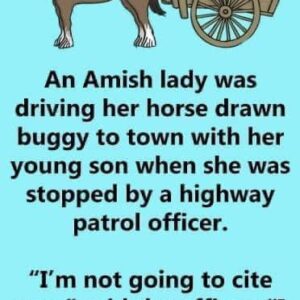 An Amish Lady Driving Her Horse-Drawn Buggy Is Pulled Over By The