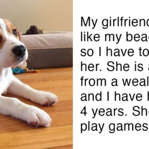 Man’s girlfriend gives him ultimatum, either the dog goes or she goes