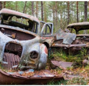 Kid Walking Through Forest Finds Abandoned Car, Notices Old Box with Envelope Inside