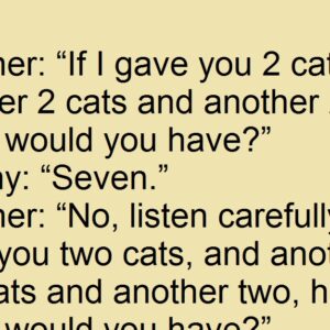 Seven Cats