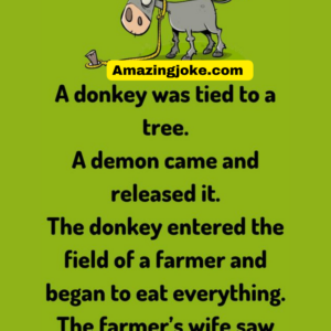 A donkey was tied to a tree