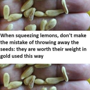 When squeezing lemons, don’t make the mistake of throwing away the seeds: they are worth their weight in gold used this way