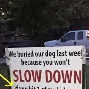 After dog gets hit by car, brutal sign has entire neighborhood talking