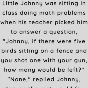 Little Johnny was sitting in class doing math problems