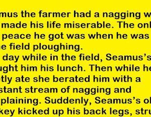 Funny Joke – Seamus the farmer had a nagging wife.