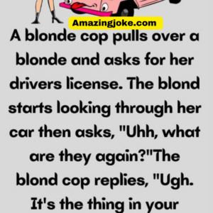 A blonde cop pulls over a blonde