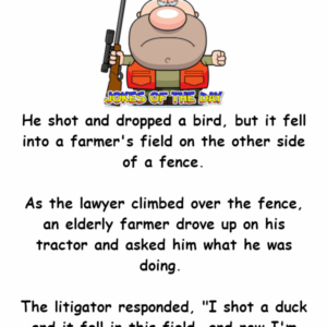 A big city lawyer went duck hunting.