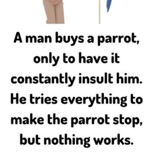 A man buys a parrot