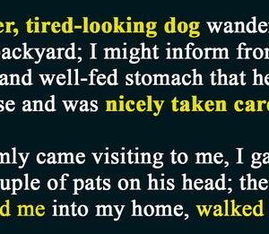 Woman Finds Hilarious Note Attached to Dog’s Collar.