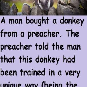 Funny Joke ‣ The Religious Donkey