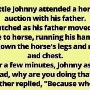 Little Johnny..