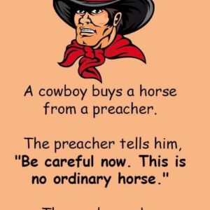 A cowboy decides to buy a horse from a preacher