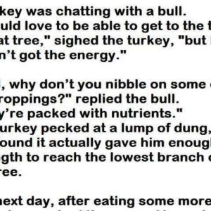 A turkey..