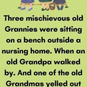 Three mischievous old Grannies were sitting on a bench outside a nursing home.