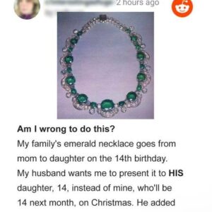 Greedy Dad Wants His Daughter to Inherit His Wife’s Family Necklace Intended for His Stepdaughter