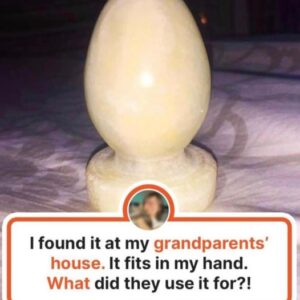 Curious Objects That Baffle People With Their Looks & Purpose